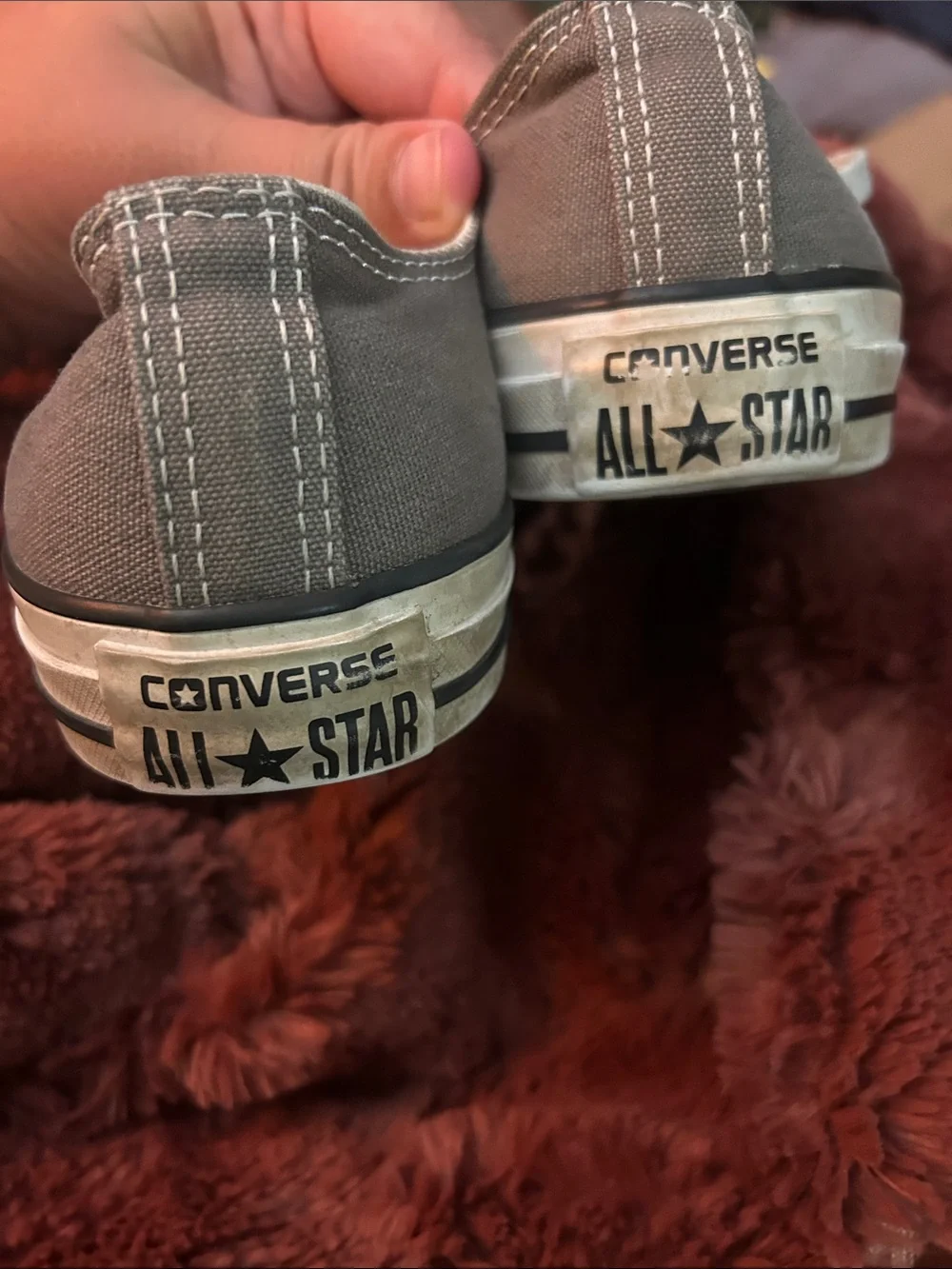 Converse Gray Canvas Low Top Sneakers with White Toecaps - Picture 6 of 10